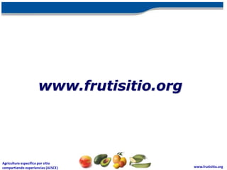 www.frutisitio.org




Agricultura específica por sitio
compartiendo experiencias (AESCE)         www.frutisitio.org
 