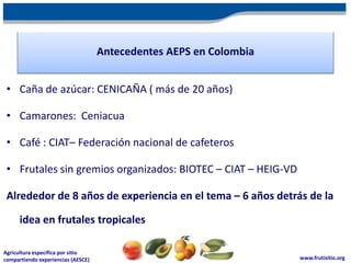 Antecedentes AEPS en Colombia


 • Caña de azúcar: CENICAÑA ( más de 20 años)

 • Camarones: Ceniacua

 • Café : CIAT– Federación nacional de cafeteros

 • Frutales sin gremios organizados: BIOTEC – CIAT – HEIG-VD

 Alrededor de 8 años de experiencia en el tema – 6 años detrás de la

      idea en frutales tropicales

Agricultura específica por sitio
compartiendo experiencias (AESCE)                                   www.frutisitio.org
 