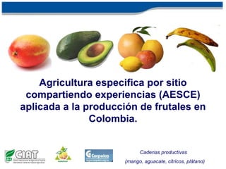 Agricultura específica por sitio compartiendo experiencias (AESCE) aplicada a la producción de frutales en Colombia. Cadenas productivas   (mango,aguacate, citricos, plátano) 