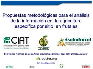 Propuestas metodológicas para el análisis de la información en  la agricultura específica por sitio  en frutales Secretarias técnicas de las cadenas productivas (mango,aguacate, cítricos, plátano) Con la participación de : 