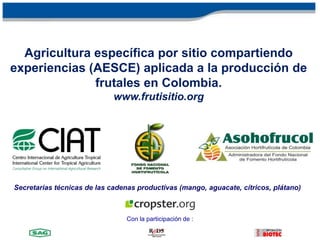 Agricultura específica por sitio compartiendo experiencias (AESCE) aplicada a la producción de frutales en Colombia. www.frutisitio.org Secretarias técnicas de las cadenas productivas (mango,aguacate, cítricos, plátano) Con la participación de : 