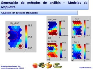 Generación de métodos de análisis – Modelos de respuestaAguacate con datos de producción(d)(b)(a)(c)(e)
