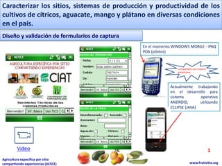 Caracterizar los sitios, sistemas de producción y productividad de los cultivos de cítricos, aguacate, mango y plátano en diversas condiciones en el país.Caracterizar los sitios, sistemas de producción y productividad de los cultivos de cítricos, aguacate, mango y plátano en diversas condiciones en el país.Diseño y validación de formularios de capturaEn el momento WINDOWS MOBILE - iPAQ PDA (pilotos)Compatibles con nuestraplataformaActualmentetrabajando en el desarrolloparasistemaoperativo ANDROID, utilizando ECLIPSE (JAVA)Video1