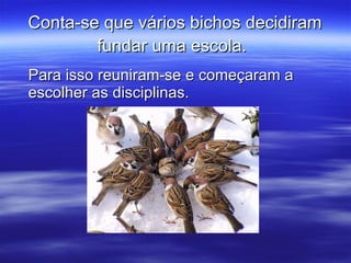 Conta-se que vários bichos decidiram fundar uma escola.   Para isso reuniram-se e começaram a escolher as disciplinas.  