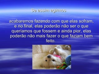 Se assim agirmos   acabaremos fazendo com que elas sofram, e no final, elas poderão não ser o que queríamos que fossem e ainda pior, elas poderão não mais fazer o que faziam bem feito.  