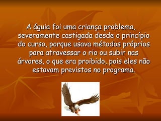 A águia foi uma criança problema, severamente castigada desde o princípio do curso, porque usava métodos próprios para atravessar o rio ou subir nas árvores, o que era proibido, pois eles não estavam previstos no programa. 