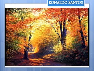 A escola e seus defasios no processo de inclusão