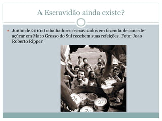 A Escravidão ainda existe?
 Junho de 2010: trabalhadores escravizados em fazenda de cana-de-

açúcar em Mato Grosso do Sul recebem suas refeições. Foto: Joao
Roberto Ripper

 