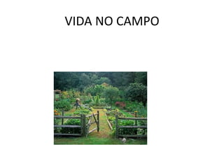 VIDA NO CAMPO
 