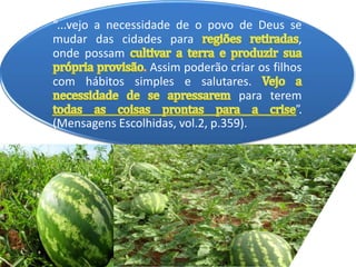 “...vejo a necessidade de o povo de Deus se
mudar das cidades para ,
onde possam
Assim poderão criar os filhos
com hábitos simples e salutares.
para terem
”.
(Mensagens Escolhidas, vol.2, p.359).
 