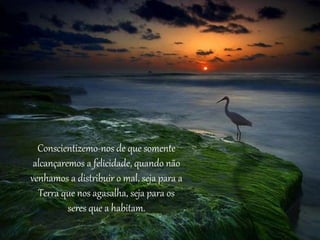 Conscientizemo-nos de que somente
alcançaremos a felicidade, quando não
venhamos a distribuir o mal, seja para a
Terra que nos agasalha, seja para os
seres que a habitam.
 