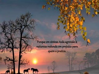 Porque em síntese, toda agressãoà
natureza redunda em prejuízo para
quema pratica.
 