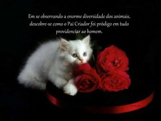 Em se observando a enorme diversidade dos animais,
descobre-se como o Pai Criador foi pródigo em tudo
providenciar ao homem.
 