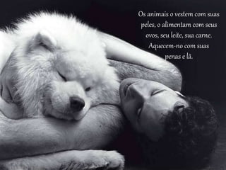 Os animais o vestem com suas
peles, o alimentam com seus
ovos, seu leite, sua carne.
Aquecem-no com suas
penas e lã.
 