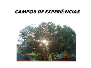 CAMPOS DE EXPERIÊNCIAS  