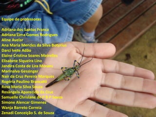 Equipe de professoras Adriana dos Santos Franca Adriana Lima Gomes Rodrigues Aline Avelar Ana Maria Mendes da Silva Botyrius Darci Ivete Adão Elaine Cristina Soares Meirelles Elisabete Siqueira Lino Jandira Costa de Lira Moraes Marinalva Gessinger Nair da Cruz Pereira Marques Rogéria Paulino Brancatti Rosa Maria Silva Souza Rosângela Aparecida da Cruz Samuelle Chrislane de P B P Souza Simone Alencar Gimenez Wanja Barreto Correia Zenadi Conceição S. de Souza  