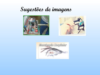 Sugestões de imagens

 