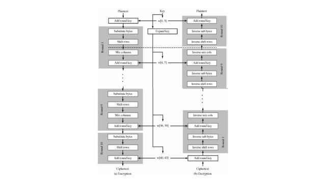 AES Encryption Decryption in Crptography.pptx