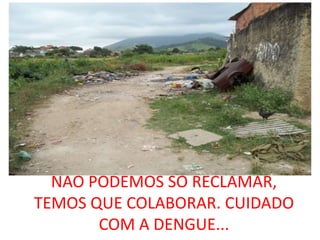 NÃO PODEMOS SÓ RECLAMAR,
TEMOS QUE COLABORAR. CUIDADO
       COM A DENGUE...
 