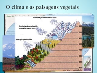 Energia
Solar
Vento
Umidade
Clima
Vegetação
Clima
Prof. Paulo