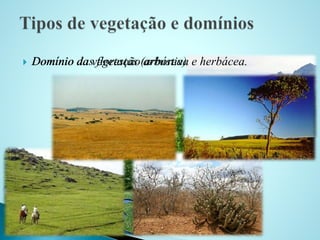  DDoommíínniioo ddaa sv felgoerteasçtaãso (aarrbbuósrteiava); e herbácea.
Prof. Paulo