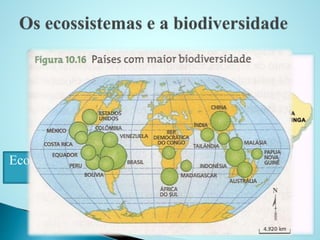 Prof. Paulo
Ecossistem
a
Bioma