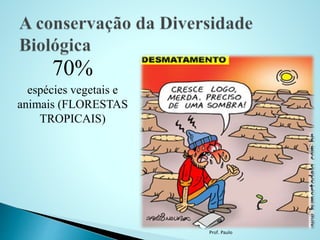 Prof. Paulo
70%
espécies vegetais e
animais (FLORESTAS
TROPICAIS)
