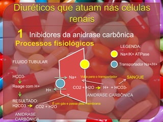 Inibidores da anidrase carbônica
LEGENDA:
Na+/K+ ATPase
FLUIDO TUBULAR

HCO3-

Transportador Na+/H+

Na+

Reage com H+
H+

Volta para o transportador

CO2 + H2O

SANGUE

H+ + HCO3-

ANIDRASE CARBÔNICA
RESULTADO:
É um gás e passa pela membrana
H2CO3
CO2 + H2O
ANIDRASE
CARBÔNICA

 