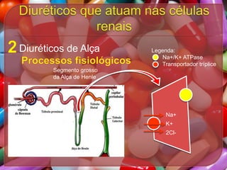 Diuréticos de Alça

Legenda:
Na+/K+ ATPase
Transportador tríplice

Segmento grosso
da Alça de Henle

Na+
K+
2Cl-

 