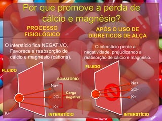 O interstício fica NEGATIVO,
Favorece a reabsorção de
cálcio e magnésio (cátions).

O interstício perde a
negatividade, prejudicando a
reabsorção de cálcio e magnésio.
FLUIDO

FLUIDO
SOMATÓRIO

Na+

Na+
2Cl-

Carga
negativa

2ClK+

K+
K+

INTERSTÍCIO

INTERSTÍCIO

 