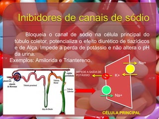 Bloqueia o canal de sódio na célula principal do
túbulo coletor, potencializa o efeito diurético de tiazídicos
e de Alça. Impede a perda de potássio e não altera o pH
da urina.
Exemplos: Amilorida e Triantereno.
Na+
IMPEDE A SAÍDA DE
POTÁSSIO

K+

Na+

CÉLULA PRINCIPAL

 