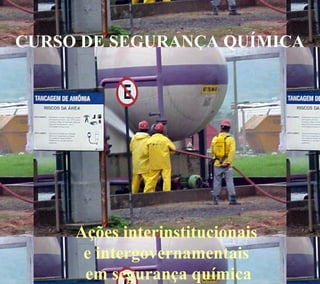 CURSO DE SEGURANÇA QUÍMICA 
Ações interinstitucionais 
e intergovernamentais 
em segurança química 
 