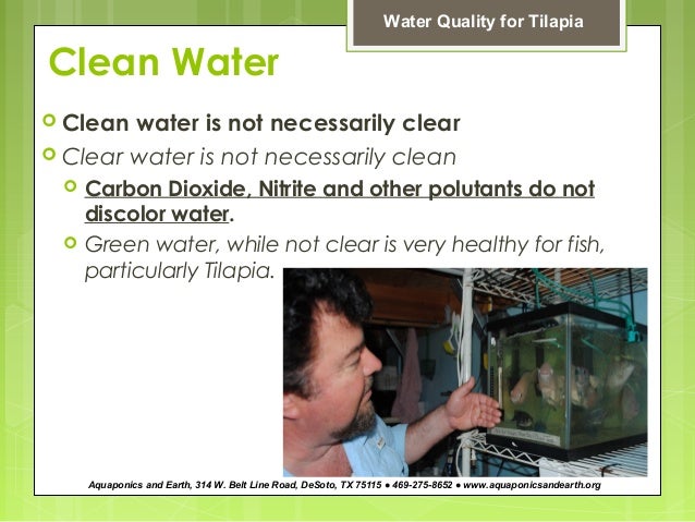 how to maintain fish water quality for aquaponics by john