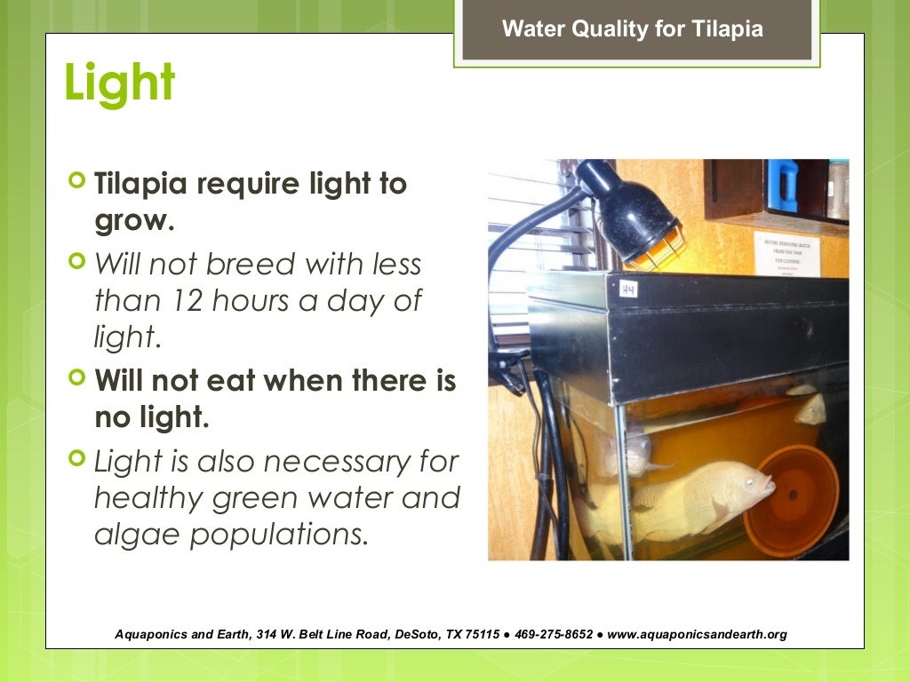 How to Maintain Fish Water Quality for Aquaponics by John Musser of A…