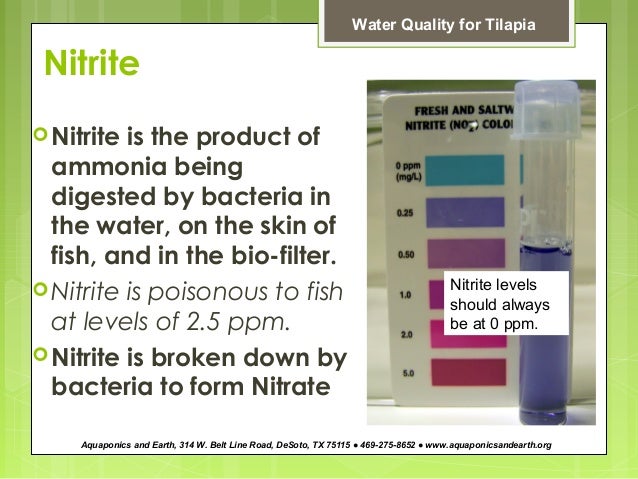 how to maintain fish water quality for aquaponics by john