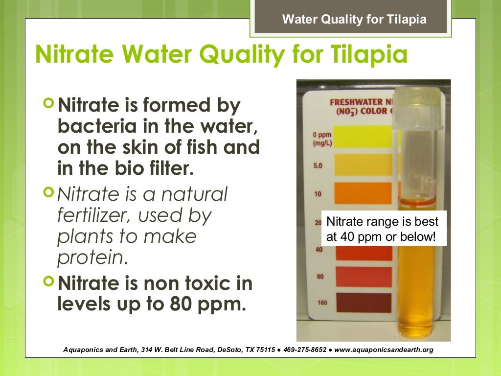 How to Maintain Fish Water Quality for Aquaponics by John Musser of A…