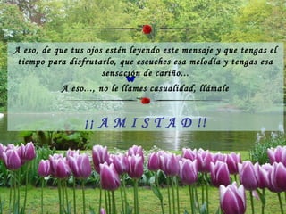 A eso, de que tus ojos estén leyendo este mensaje y que tengas el tiempo para disfrutarlo, que escuches esa melodía y tengas esa sensación de cariño... A eso..., no le llames casualidad, llámale ¡¡ A M I S T A D !! 