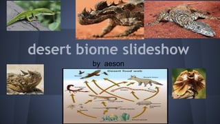 desert biome slideshow
by aeson
by aeson
 