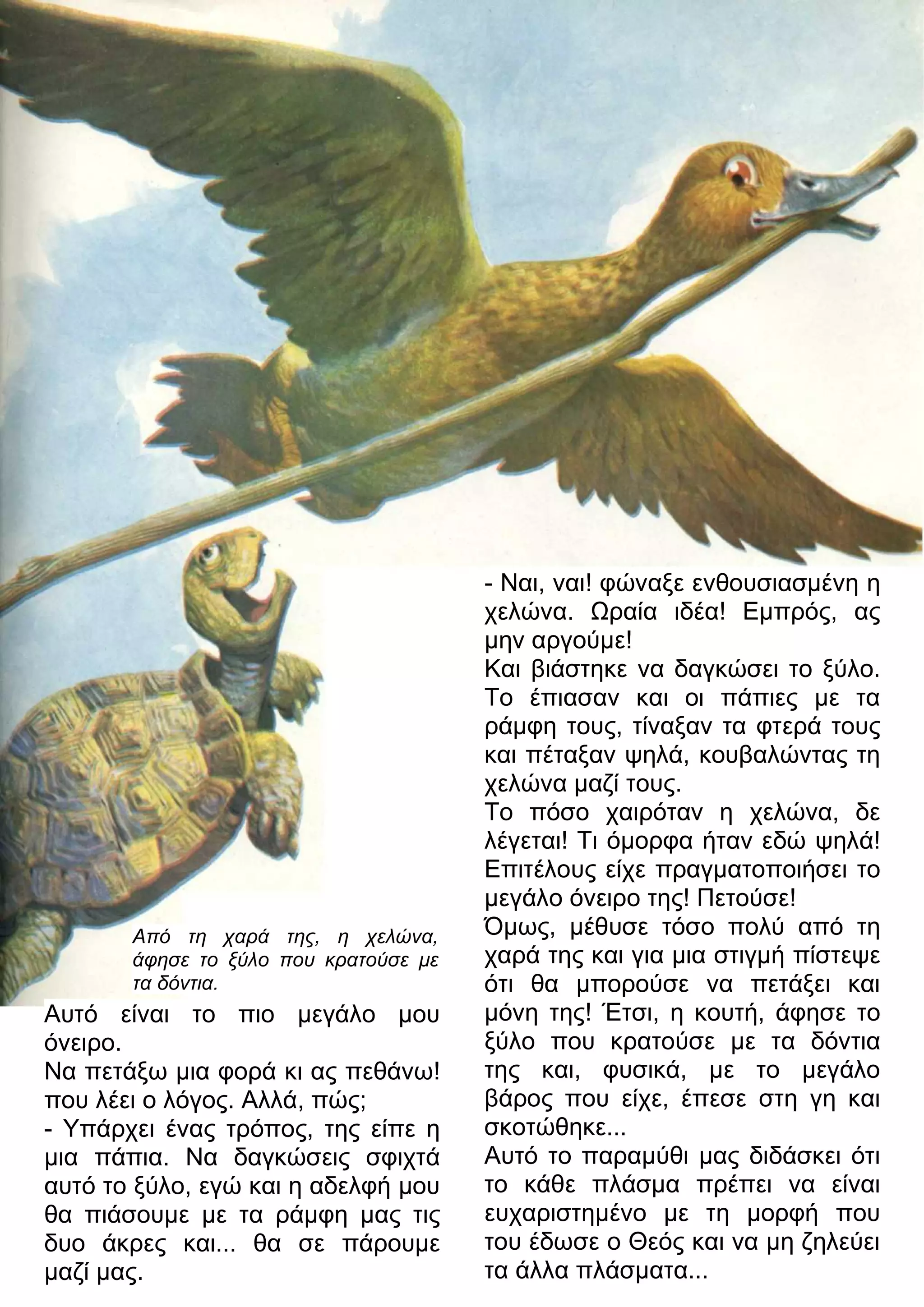 Αυτό είναι το πιο μεγάλο μου 
όνειρο. 
Να πετάξω μια φορά κι ας πεθάνω! 
που λέει ο λόγος. Αλλά, πώς; 
- Υπάρχει ένας τρόπος, της είπε η 
μια πάπια. Να δαγκώσεις σφιχτά 
αυτό το ξύλο, εγώ και η αδελφή μου 
θα πιάσουμε με τα ράμφη μας τις 
δυο άκρες και... θα σε πάρουμε 
μαζί μας. 
- Ναι, ναι! φώναξε ενθουσιασμένη η 
χελώνα. 7ραία ιδέα! Εμπρός, ας 
μην αργούμε! 
Και βιάστηκε να δαγκώσει το ξύλο. 
Το έπιασαν και οι πάπιες με τα 
ράμφη τους, τίναξαν τα φτερά τους 
και πέταξαν ψηλά, κουβαλώντας τη 
χελώνα μαζί τους. 
Το πόσο χαιρόταν η χελώνα, δε 
λέγεται! Τι όμορφα ήταν εδώ ψηλά! 
Επιτέλους είχε πραγματοποιήσει το 
μεγάλο όνειρο της! Πετούσε! 
Όμως, μέθυσε τόσο πολύ από τη 
χαρά της και για μια στιγμή πίστεψε 
ότι θα μπορούσε να πετάξει και 
μόνη της! Έτσι, η κουτή, άφησε το 
ξύλο που κρατούσε με τα δόντια 
της και, φυσικά, με το μεγάλο 
βάρος που είχε, έπεσε στη γη και 
σκοτώθηκε... 
Αυτό το παραμύθι μας διδάσκει ότι 
το κάθε πλάσμα πρέπει να είναι 
ευχαριστημένο με τη μορφή που 
του έδωσε ο Θεός και να μη ζηλεύει 
τα άλλα πλάσματα... 
Από τη χαρά της, η χελώνα, 
άφησε το ξύλο που κρατούσε με 
τα δόντια. 
 