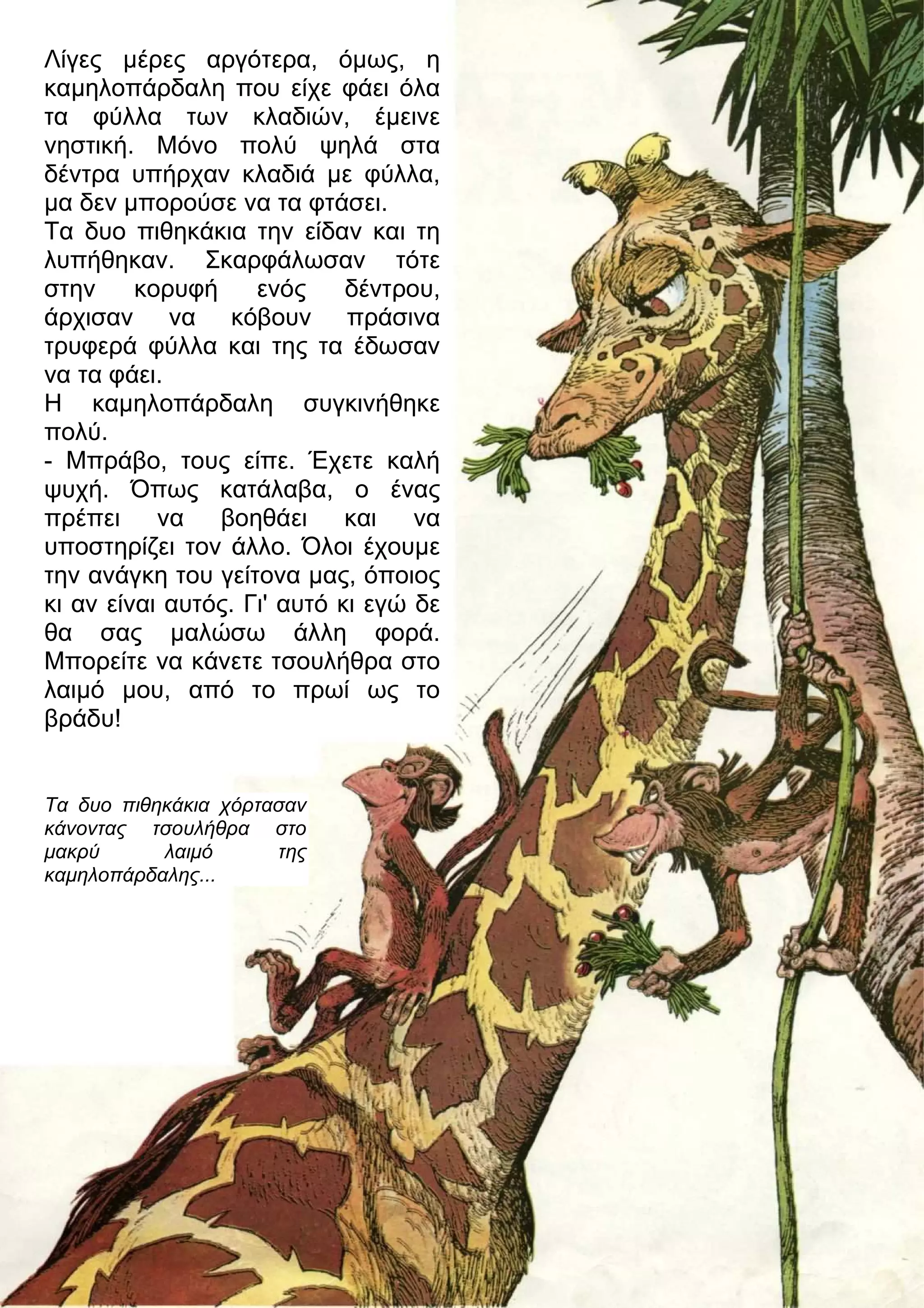 Λίγες μέρες αργότερα, όμως, η 
καμηλοπάρδαλη που είχε φάει όλα 
τα φύλλα των κλαδιών, έμεινε 
νηστική. Μόνο πολύ ψηλά στα 
δέντρα υπήρχαν κλαδιά με φύλλα, 
μα δεν μπορούσε να τα φτάσει. 
Τα δυο πιθηκάκια την είδαν και τη 
λυπήθηκαν. Σκαρφάλωσαν τότε 
στην κορυφή ενός δέντρου, 
άρχισαν να κόβουν πράσινα 
τρυφερά φύλλα και της τα έδωσαν 
να τα φάει. 
Η καμηλοπάρδαλη συγκινήθηκε 
πολύ. 
- Μπράβο, τους είπε. Έχετε καλή 
ψυχή. Όπως κατάλαβα, ο ένας 
πρέπει να βοηθάει και να 
υποστηρίζει τον άλλο. Όλοι έχουμε 
την ανάγκη του γείτονα μας, όποιος 
κι αν είναι αυτός. Γι' αυτό κι εγώ δε 
θα σας μαλώσω άλλη φορά. 
Μπορείτε να κάνετε τσουλήθρα στο 
λαιμό μου, από το πρωί ως το 
βράδυ! 
Τα δυο πιθηκάκια χόρτασαν 
κάνοντας τσουλήθρα στο 
μακρύ λαιμό της 
καμηλοπάρδαλης... 
 