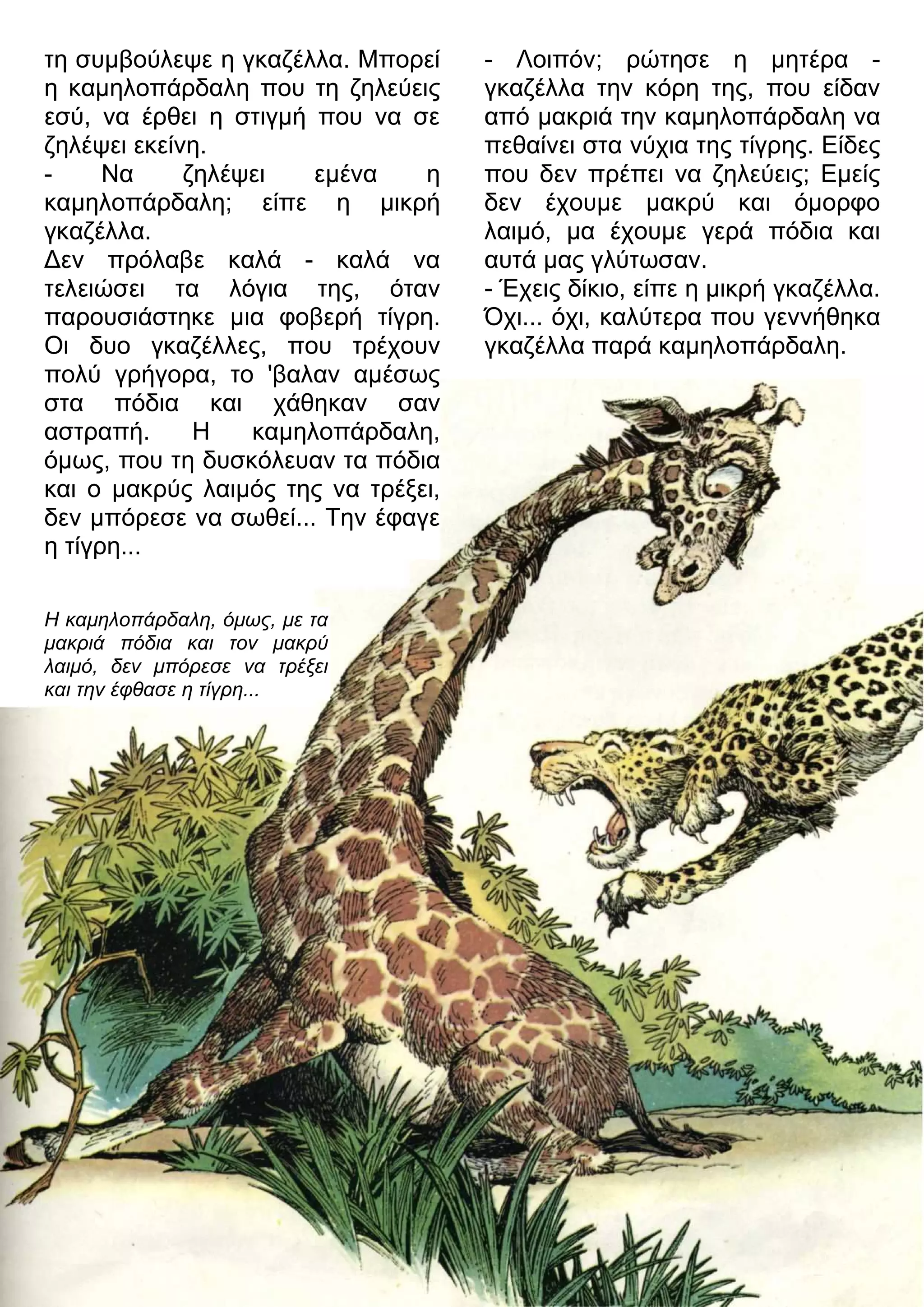 τη συμβούλεψε η γκαζέλλα. Μπορεί 
η καμηλοπάρδαλη που τη ζηλεύεις 
εσύ, να έρθει η στιγμή που να σε 
ζηλέψει εκείνη. 
- Να ζηλέψει εμένα η 
καμηλοπάρδαλη; είπε η μικρή 
γκαζέλλα. 
3εν πρόλαβε καλά - καλά να 
τελειώσει τα λόγια της, όταν 
παρουσιάστηκε μια φοβερή τίγρη. 
Οι δυο γκαζέλλες, που τρέχουν 
πολύ γρήγορα, το 'βαλαν αμέσως 
στα πόδια και χάθηκαν σαν 
αστραπή. Η καμηλοπάρδαλη, 
όμως, που τη δυσκόλευαν τα πόδια 
και ο μακρύς λαιμός της να τρέξει, 
δεν μπόρεσε να σωθεί... Την έφαγε 
η τίγρη... 
- Λοιπόν; ρώτησε η μητέρα - 
γκαζέλλα την κόρη της, που είδαν 
από μακριά την καμηλοπάρδαλη να 
πεθαίνει στα νύχια της τίγρης. Είδες 
που δεν πρέπει να ζηλεύεις; Εμείς 
δεν έχουμε μακρύ και όμορφο 
λαιμό, μα έχουμε γερά πόδια και 
αυτά μας γλύτωσαν. 
- Έχεις δίκιο, είπε η μικρή γκαζέλλα. 
Όχι... όχι, καλύτερα που γεννήθηκα 
γκαζέλλα παρά καμηλοπάρδαλη. 
Η καμηλοπάρδαλη, όμως, με τα 
μακριά πόδια και τον μακρύ 
λαιμό, δεν μπόρεσε να τρέξει 
και την έφθασε η τίγρη... 
 