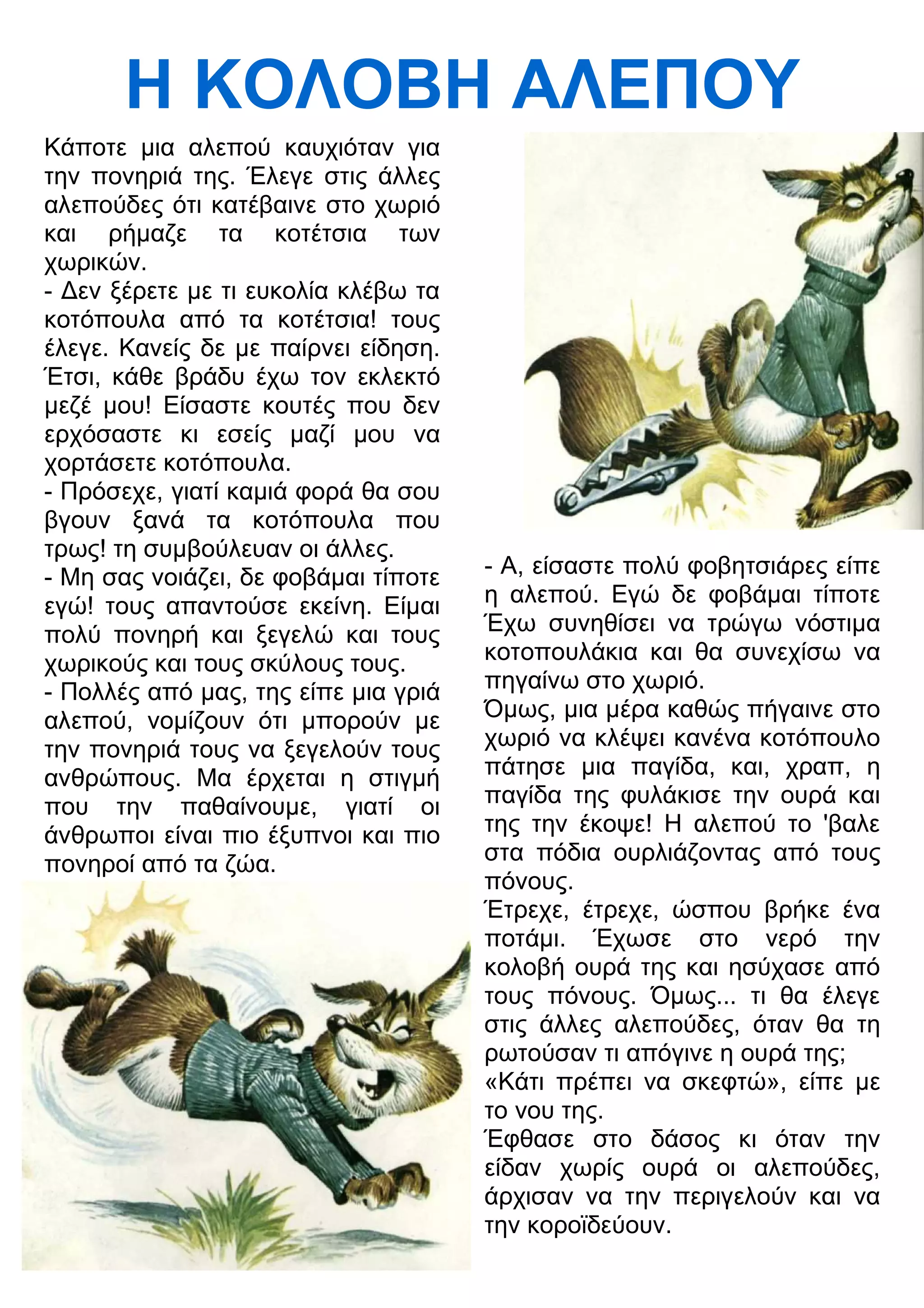 Η ΚΟΛΟΒΗ ΑΛΕΠΟΥ 
Κάποτε μια αλεπού καυχιόταν για 
την πονηριά της. Έλεγε στις άλλες 
αλεπούδες ότι κατέβαινε στο χωριό 
και ρήμαζε τα κοτέτσια των 
χωρικών. 
- 3εν ξέρετε με τι ευκολία κλέβω τα 
κοτόπουλα από τα κοτέτσια! τους 
έλεγε. Κανείς δε με παίρνει είδηση. 
Έτσι, κάθε βράδυ έχω τον εκλεκτό 
μεζέ μου! Είσαστε κουτές που δεν 
ερχόσαστε κι εσείς μαζί μου να 
χορτάσετε κοτόπουλα. 
- Πρόσεχε, γιατί καμιά φορά θα σου 
βγουν ξανά τα κοτόπουλα που 
τρως! τη συμβούλευαν οι άλλες. 
- Μη σας νοιάζει, δε φοβάμαι τίποτε 
εγώ! τους απαντούσε εκείνη. Είμαι 
πολύ πονηρή και ξεγελώ και τους 
χωρικούς και τους σκύλους τους. 
- Πολλές από μας, της είπε μια γριά 
αλεπού, νομίζουν ότι μπορούν με 
την πονηριά τους να ξεγελούν τους 
ανθρώπους. Μα έρχεται η στιγμή 
που την παθαίνουμε, γιατί οι 
άνθρωποι είναι πιο έξυπνοι και πιο 
πονηροί από τα ζώα. 
- Α, είσαστε πολύ φοβητσιάρες είπε 
η αλεπού. Εγώ δε φοβάμαι τίποτε 
Έχω συνηθίσει να τρώγω νόστιμα 
κοτοπουλάκια και θα συνεχίσω να 
πηγαίνω στο χωριό. 
Όμως, μια μέρα καθώς πήγαινε στο 
χωριό να κλέψει κανένα κοτόπουλο 
πάτησε μια παγίδα, και, χραπ, η 
παγίδα της φυλάκισε την ουρά και 
της την έκοψε! Η αλεπού το 'βαλε 
στα πόδια ουρλιάζοντας από τους 
πόνους. 
Έτρεχε, έτρεχε, ώσπου βρήκε ένα 
ποτάμι. Έχωσε στο νερό την 
κολοβή ουρά της και ησύχασε από 
τους πόνους. Όμως... τι θα έλεγε 
στις άλλες αλεπούδες, όταν θα τη 
ρωτούσαν τι απόγινε η ουρά της; 
«Κάτι πρέπει να σκεφτώ», είπε με 
το νου της. 
Έφθασε στο δάσος κι όταν την 
είδαν χωρίς ουρά οι αλεπούδες, 
άρχισαν να την περιγελούν και να 
την κοροϊδεύουν. 
 
