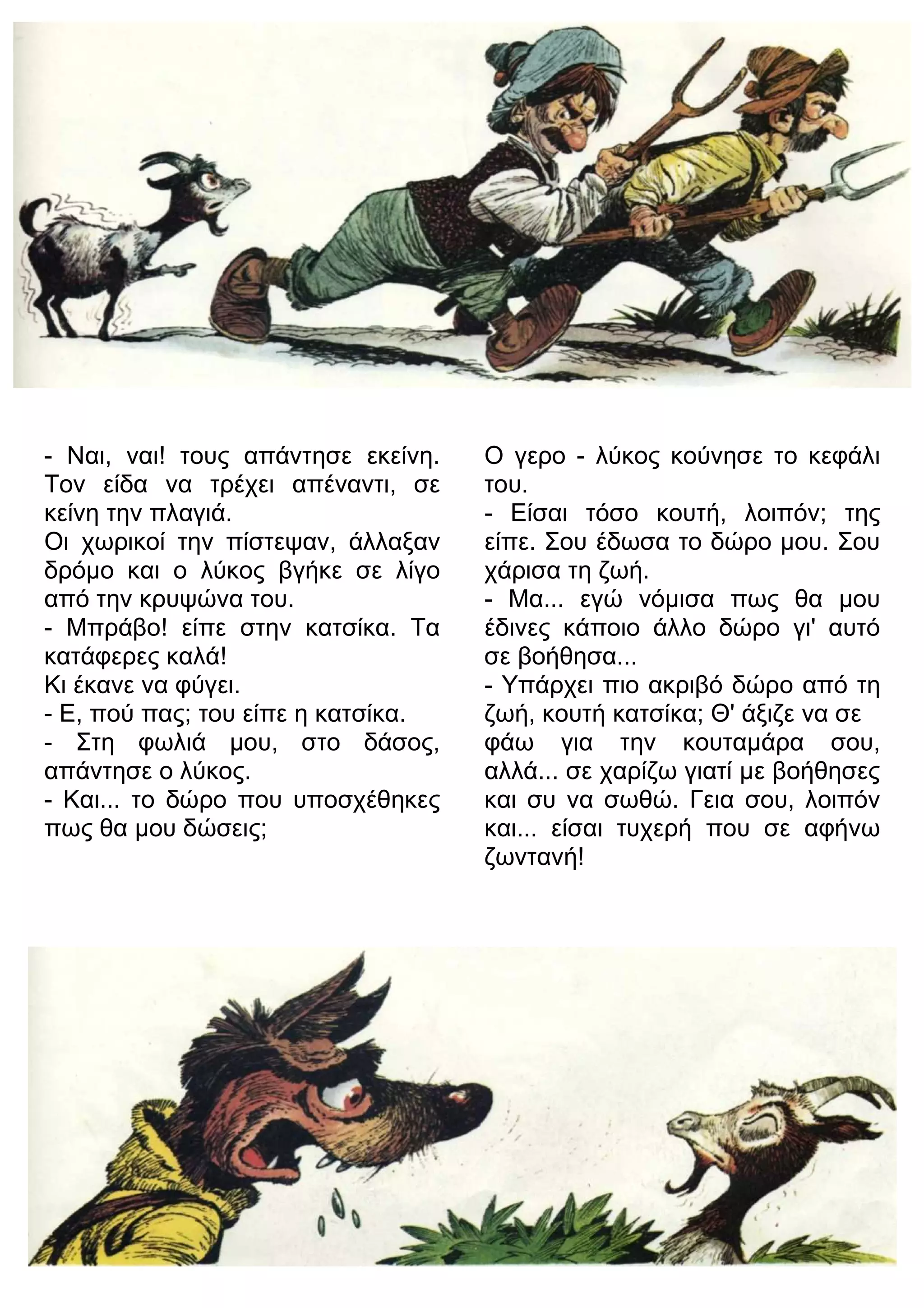 - Ναι, ναι! τους απάντησε εκείνη. 
Τον είδα να τρέχει απέναντι, σε 
κείνη την πλαγιά. 
Οι χωρικοί την πίστεψαν, άλλαξαν 
δρόμο και ο λύκος βγήκε σε λίγο 
από την κρυψώνα του. 
- Μπράβο! είπε στην κατσίκα. Τα 
κατάφερες καλά! 
Κι έκανε να φύγει. 
- Ε, πού πας; του είπε η κατσίκα. 
- Στη φωλιά μου, στο δάσος, 
απάντησε ο λύκος. 
- Και... το δώρο που υποσχέθηκες 
πως θα μου δώσεις; 
Ο γερο - λύκος κούνησε το κεφάλι 
του. 
- Είσαι τόσο κουτή, λοιπόν; της 
είπε. Σου έδωσα το δώρο μου. Σου 
χάρισα τη ζωή. 
- Μα... εγώ νόμισα πως θα μου 
έδινες κάποιο άλλο δώρο γι' αυτό 
σε βοήθησα... 
- Υπάρχει πιο ακριβό δώρο από τη 
ζωή, κουτή κατσίκα; Θ' άξιζε να σε 
φάω για την κουταμάρα σου, 
αλλά... σε χαρίζω γιατί με βοήθησες 
και συ να σωθώ. Γεια σου, λοιπόν 
και... είσαι τυχερή που σε αφήνω 
ζωντανή! 
 