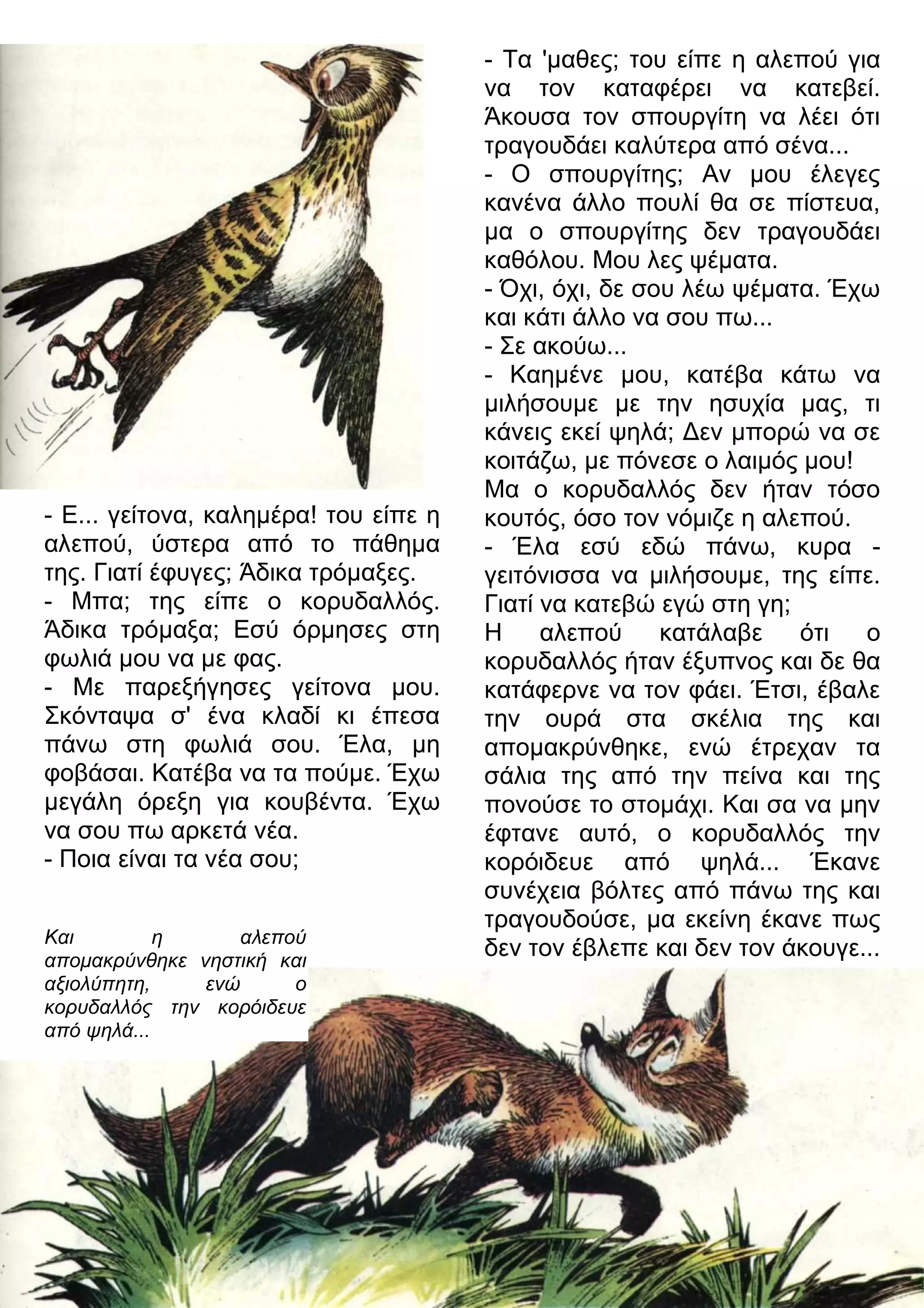 - Τα 'μαθες; του είπε η αλεπού για 
να τον καταφέρει να κατεβεί. 
Άκουσα τον σπουργίτη να λέει ότι 
τραγουδάει καλύτερα από σένα... 
- Ο σπουργίτης; Αν μου έλεγες 
κανένα άλλο πουλί θα σε πίστευα, 
μα ο σπουργίτης δεν τραγουδάει 
καθόλου. Μου λες ψέματα. 
- Όχι, όχι, δε σου λέω ψέματα. Έχω 
και κάτι άλλο να σου πω... 
- Σε ακούω... 
- Καημένε μου, κατέβα κάτω να 
μιλήσουμε με την ησυχία μας, τι 
κάνεις εκεί ψηλά; 3εν μπορώ να σε 
κοιτάζω, με πόνεσε ο λαιμός μου! 
Μα ο κορυδαλλός δεν ήταν τόσο 
κουτός, όσο τον νόμιζε η αλεπού. 
- Έλα εσύ εδώ πάνω, κυρα - 
γειτόνισσα να μιλήσουμε, της είπε. 
Γιατί να κατεβώ εγώ στη γη; 
Η αλεπού κατάλαβε ότι ο 
κορυδαλλός ήταν έξυπνος και δε θα 
κατάφερνε να τον φάει. Έτσι, έβαλε 
την ουρά στα σκέλια της και 
απομακρύνθηκε, ενώ έτρεχαν τα 
σάλια της από την πείνα και της 
πονούσε το στομάχι. Και σα να μην 
έφτανε αυτό, ο κορυδαλλός την 
κορόιδευε από ψηλά... Έκανε 
συνέχεια βόλτες από πάνω της και 
τραγουδούσε, μα εκείνη έκανε πως 
δεν τον έβλεπε και Και η αλεπού δεν τον άκουγε... 
απομακρύνθηκε νηστική και 
αξιολύπητη, ενώ ο 
κορυδαλλός την κορόιδευε 
από ψηλά... 
- Ε... γείτονα, καλημέρα! του είπε η 
αλεπού, ύστερα από το πάθημα 
της. Γιατί έφυγες; Άδικα τρόμαξες. 
- Μπα; της είπε ο κορυδαλλός. 
Άδικα τρόμαξα; Εσύ όρμησες στη 
φωλιά μου να με φας. 
- Με παρεξήγησες γείτονα μου. 
Σκόνταψα σ' ένα κλαδί κι έπεσα 
πάνω στη φωλιά σου. Έλα, μη 
φοβάσαι. Κατέβα να τα πούμε. Έχω 
μεγάλη όρεξη για κουβέντα. Έχω 
να σου πω αρκετά νέα. 
- Ποια είναι τα νέα σου; 
 