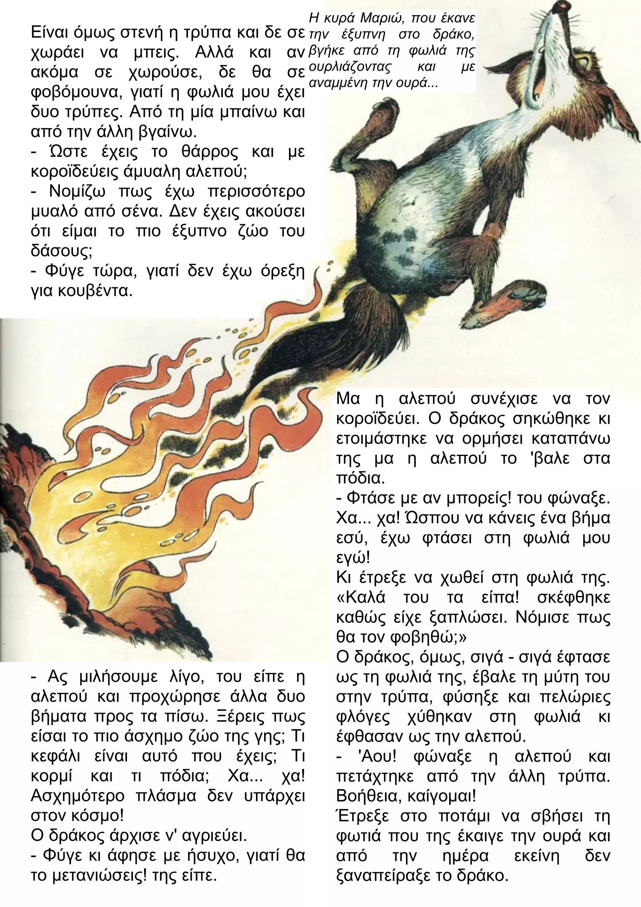 Είναι όμως στενή η τρύπα και δε σε 
χωράει να μπεις. Αλλά και αν 
ακόμα σε χωρούσε, δε θα σε 
φοβόμουνα, γιατί η φωλιά μου έχει 
δυο τρύπες. Από τη μία μπαίνω και 
από την άλλη βγαίνω. 
- Ώστε έχεις το θάρρος και με 
κοροϊδεύεις άμυαλη αλεπού; 
- Νομίζω πως έχω περισσότερο 
μυαλό από σένα. 3εν έχεις ακούσει 
ότι είμαι το πιο έξυπνο ζώο του 
δάσους; 
- Φύγε τώρα, γιατί δεν έχω όρεξη 
για κουβέντα. 
- Ας μιλήσουμε λίγο, του είπε η 
αλεπού και προχώρησε άλλα δυο 
βήματα προς τα πίσω. Ξέρεις πως 
είσαι το πιο άσχημο ζώο της γης; Τι 
κεφάλι είναι αυτό που έχεις; Τι 
κορμί και τι πόδια; Χα... χα! 
Ασχημότερο πλάσμα δεν υπάρχει 
στον κόσμο! 
Ο δράκος άρχισε ν' αγριεύει. 
- Φύγε κι άφησε με ήσυχο, γιατί θα 
το μετανιώσεις! της είπε. 
Η κυρά Μαριώ, που έκανε 
την έξυπνη στο δράκο, 
βγήκε από τη φωλιά της 
ουρλιάζοντας και με 
αναμμένη την ουρά... 
Μα η αλεπού συνέχισε να τον 
κοροϊδεύει. Ο δράκος σηκώθηκε κι 
ετοιμάστηκε να ορμήσει καταπάνω 
της μα η αλεπού το 'βαλε στα 
πόδια. 
- Φτάσε με αν μπορείς! του φώναξε. 
Χα... χα! Ώσπου να κάνεις ένα βήμα 
εσύ, έχω φτάσει στη φωλιά μου 
εγώ! 
Κι έτρεξε να χωθεί στη φωλιά της. 
«Καλά του τα είπα! σκέφθηκε 
καθώς είχε ξαπλώσει. Νόμισε πως 
θα τον φοβηθώ;» 
Ο δράκος, όμως, σιγά - σιγά έφτασε 
ως τη φωλιά της, έβαλε τη μύτη του 
στην τρύπα, φύσηξε και πελώριες 
φλόγες χύθηκαν στη φωλιά κι 
έφθασαν ως την αλεπού. 
- 'Αου! φώναξε η αλεπού και 
πετάχτηκε από την άλλη τρύπα. 
Βοήθεια, καίγομαι! 
Έτρεξε στο ποτάμι να σβήσει τη 
φωτιά που της έκαιγε την ουρά και 
από την ημέρα εκείνη δεν 
ξαναπείραξε το δράκο. 
 