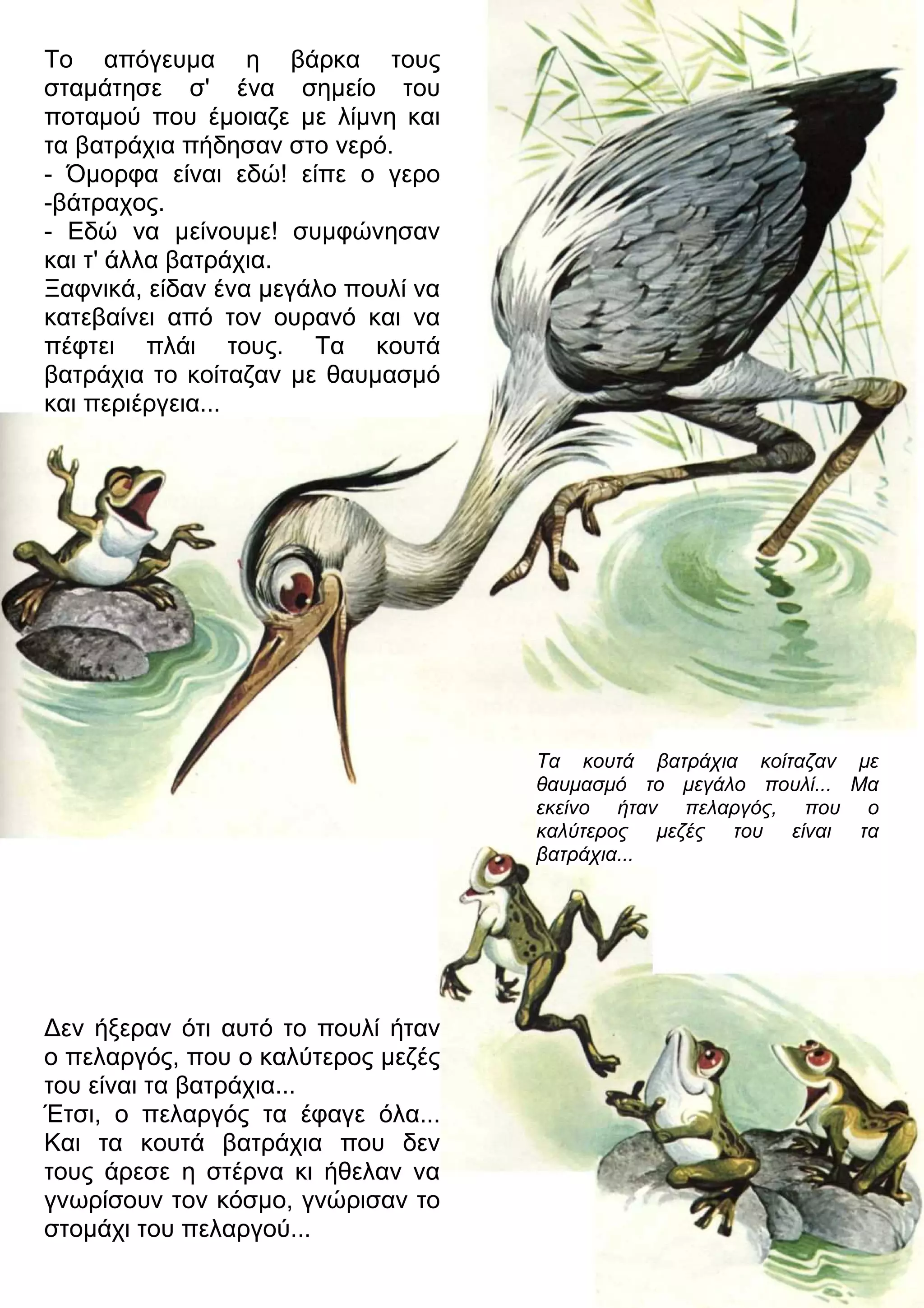 Το απόγευμα η βάρκα τους 
σταμάτησε σ' ένα σημείο του 
ποταμού που έμοιαζε με λίμνη και 
τα βατράχια πήδησαν στο νερό. 
- Όμορφα είναι εδώ! είπε ο γερο 
-βάτραχος. 
- Εδώ να μείνουμε! συμφώνησαν 
και τ' άλλα βατράχια. 
Ξαφνικά, είδαν ένα μεγάλο πουλί να 
κατεβαίνει από τον ουρανό και να 
πέφτει πλάι τους. Τα κουτά 
βατράχια το κοίταζαν με θαυμασμό 
και περιέργεια... 
Τα κουτά βατράχια κοίταζαν με 
θαυμασμό το μεγάλο πουλί... Μα 
εκείνο ήταν πελαργός, που ο 
καλύτερος μεζές του είναι τα 
βατράχια... 
3εν ήξεραν ότι αυτό το πουλί ήταν 
ο πελαργός, που ο καλύτερος μεζές 
του είναι τα βατράχια... 
Έτσι, ο πελαργός τα έφαγε όλα... 
Και τα κουτά βατράχια που δεν 
τους άρεσε η στέρνα κι ήθελαν να 
γνωρίσουν τον κόσμο, γνώρισαν το 
στομάχι του πελαργού... 
 
