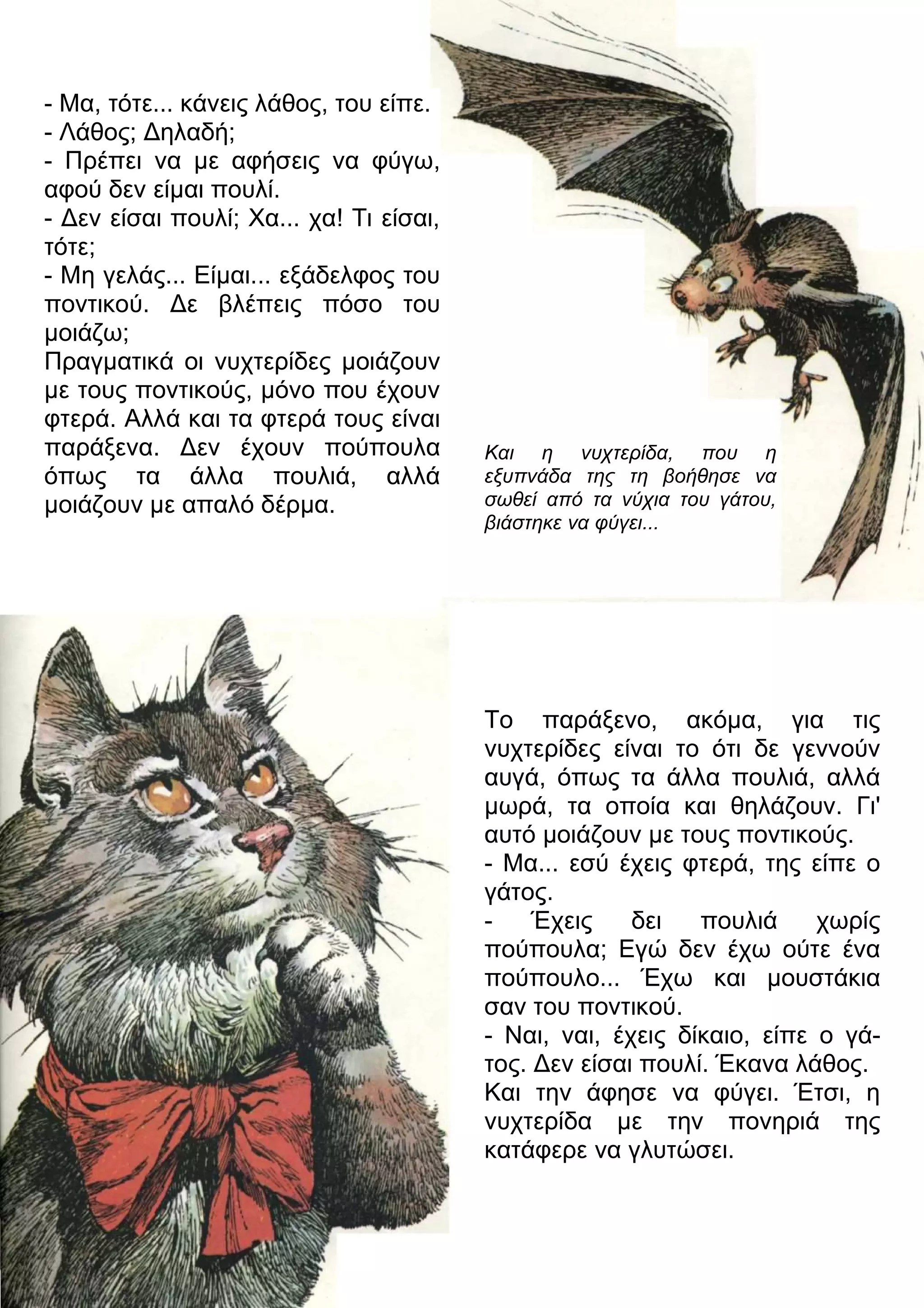 - Μα, τότε... κάνεις λάθος, του είπε. 
- Λάθος; 3ηλαδή; 
- Πρέπει να με αφήσεις να φύγω, 
αφού δεν είμαι πουλί. 
- 3εν είσαι πουλί; Χα... χα! Τι είσαι, 
τότε; 
- Μη γελάς... Είμαι... εξάδελφος του 
ποντικού. 3ε βλέπεις πόσο του 
μοιάζω; 
Πραγματικά οι νυχτερίδες μοιάζουν 
με τους ποντικούς, μόνο που έχουν 
φτερά. Αλλά και τα φτερά τους είναι 
παράξενα. 3εν έχουν πούπουλα 
όπως τα άλλα πουλιά, αλλά 
μοιάζουν με απαλό δέρμα. 
Και η νυχτερίδα, που η 
εξυπνάδα της τη βοήθησε να 
σωθεί από τα νύχια του γάτου, 
βιάστηκε να φύγει... 
Το παράξενο, ακόμα, για τις 
νυχτερίδες είναι το ότι δε γεννούν 
αυγά, όπως τα άλλα πουλιά, αλλά 
μωρά, τα οποία και θηλάζουν. Γι' 
αυτό μοιάζουν με τους ποντικούς. 
- Μα... εσύ έχεις φτερά, της είπε ο 
γάτος. 
- Έχεις δει πουλιά χωρίς 
πούπουλα; Εγώ δεν έχω ούτε ένα 
πούπουλο... Έχω και μουστάκια 
σαν του ποντικού. 
- Ναι, ναι, έχεις δίκαιο, είπε ο γά- 
τος. 3εν είσαι πουλί. Έκανα λάθος. 
Και την άφησε να φύγει. Έτσι, η 
νυχτερίδα με την πονηριά της 
κατάφερε να γλυτώσει. 
 