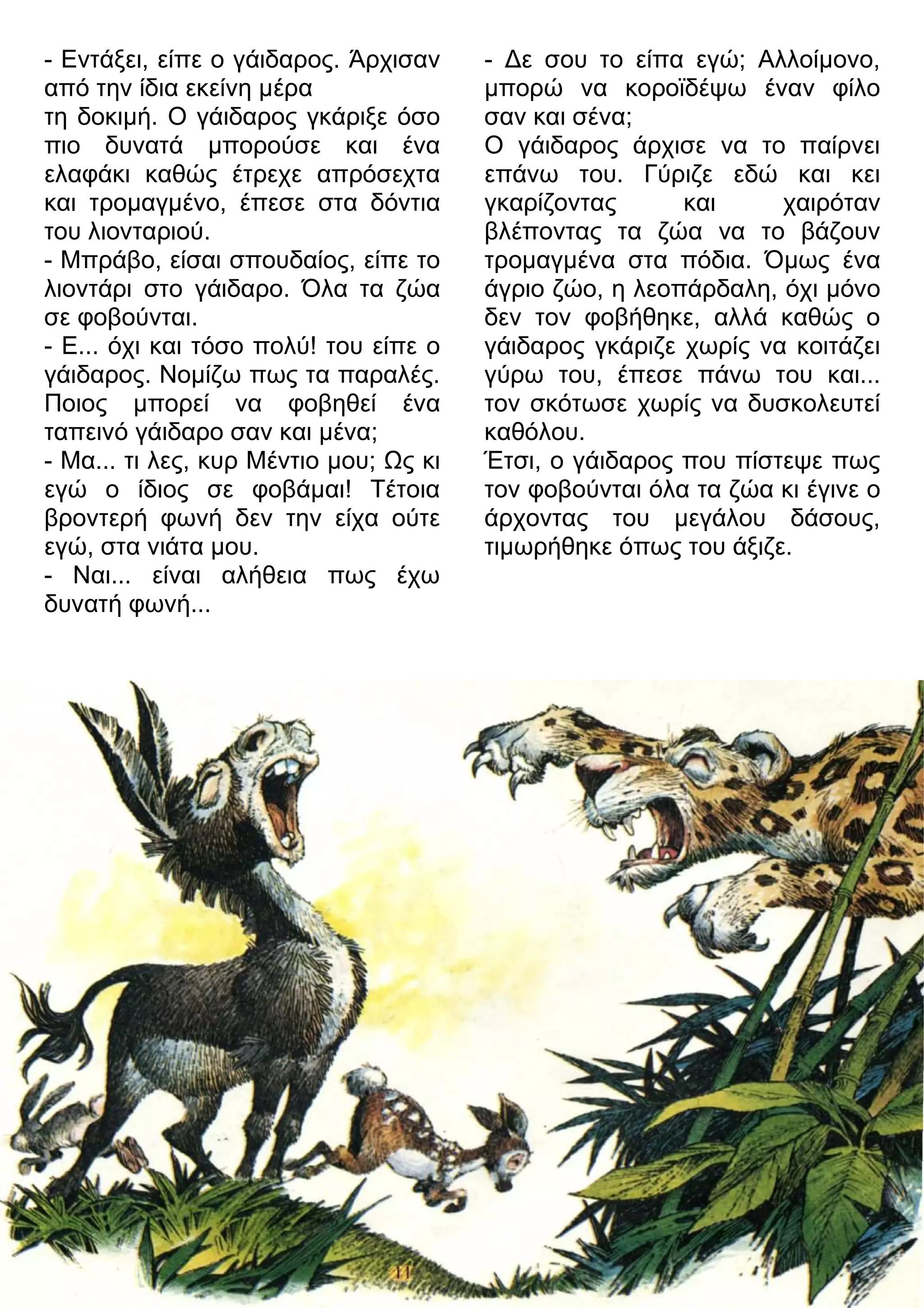 - Εντάξει, είπε ο γάιδαρος. Άρχισαν 
από την ίδια εκείνη μέρα 
τη δοκιμή. Ο γάιδαρος γκάριξε όσο 
πιο δυνατά μπορούσε και ένα 
ελαφάκι καθώς έτρεχε απρόσεχτα 
και τρομαγμένο, έπεσε στα δόντια 
του λιονταριού. 
- Μπράβο, είσαι σπουδαίος, είπε το 
λιοντάρι στο γάιδαρο. Όλα τα ζώα 
σε φοβούνται. 
- Ε... όχι και τόσο πολύ! του είπε ο 
γάιδαρος. Νομίζω πως τα παραλές. 
Ποιος μπορεί να φοβηθεί ένα 
ταπεινό γάιδαρο σαν και μένα; 
- Μα... τι λες, κυρ Μέντιο μου; 7ς κι 
εγώ ο ίδιος σε φοβάμαι! Τέτοια 
βροντερή φωνή δεν την είχα ούτε 
εγώ, στα νιάτα μου. 
- Ναι... είναι αλήθεια πως έχω 
δυνατή φωνή... 
- 3ε σου το είπα εγώ; Αλλοίμονο, 
μπορώ να κοροϊδέψω έναν φίλο 
σαν και σένα; 
Ο γάιδαρος άρχισε να το παίρνει 
επάνω του. Γύριζε εδώ και κει 
γκαρίζοντας και χαιρόταν 
βλέποντας τα ζώα να το βάζουν 
τρομαγμένα στα πόδια. Όμως ένα 
άγριο ζώο, η λεοπάρδαλη, όχι μόνο 
δεν τον φοβήθηκε, αλλά καθώς ο 
γάιδαρος γκάριζε χωρίς να κοιτάζει 
γύρω του, έπεσε πάνω του και... 
τον σκότωσε χωρίς να δυσκολευτεί 
καθόλου. 
Έτσι, ο γάιδαρος που πίστεψε πως 
τον φοβούνται όλα τα ζώα κι έγινε ο 
άρχοντας του μεγάλου δάσους, 
τιμωρήθηκε όπως του άξιζε. 
 