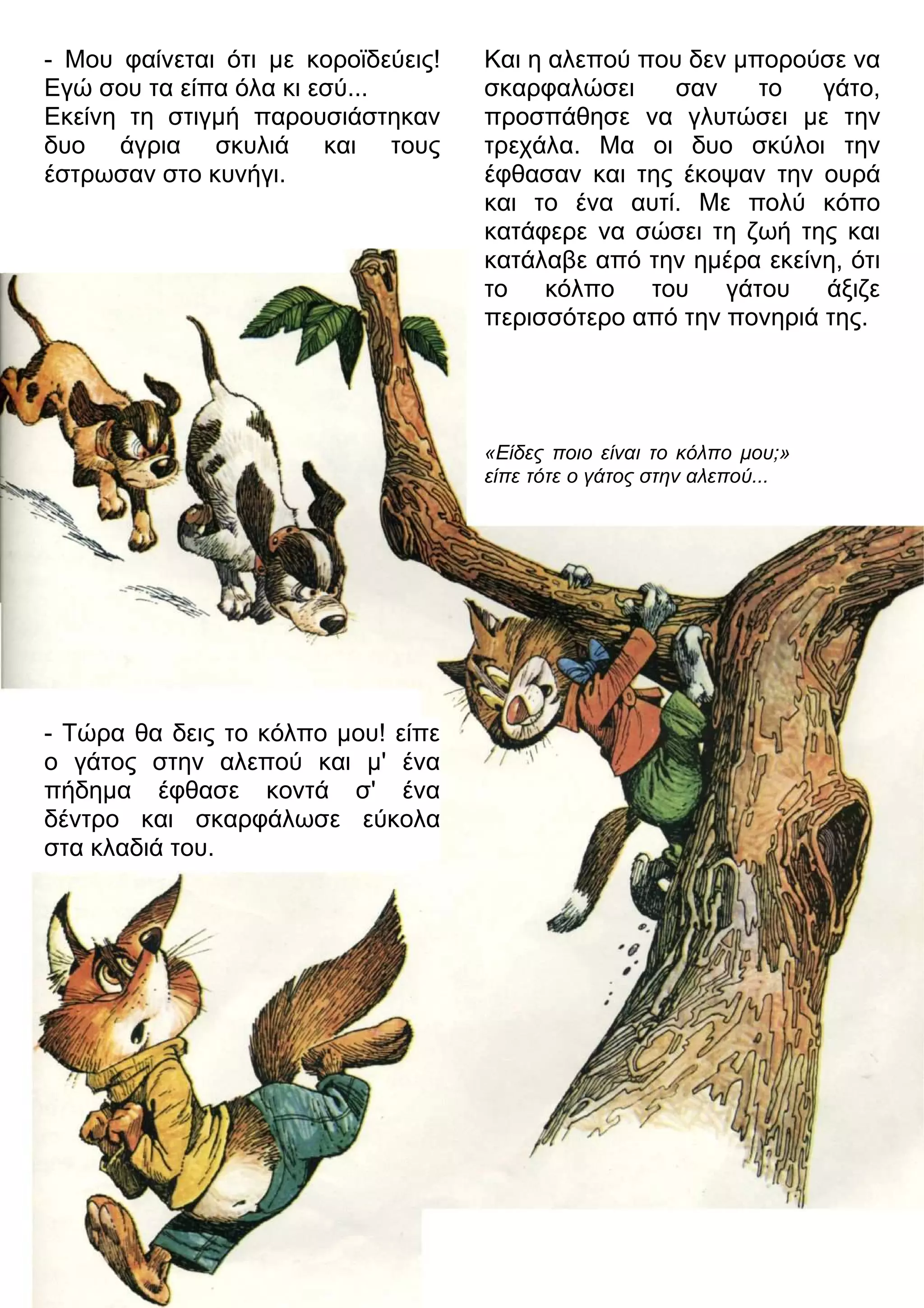 - Μου φαίνεται ότι με κοροϊδεύεις! 
Εγώ σου τα είπα όλα κι εσύ... 
Εκείνη τη στιγμή παρουσιάστηκαν 
δυο άγρια σκυλιά και τους 
έστρωσαν στο κυνήγι. 
- Τώρα θα δεις το κόλπο μου! είπε 
ο γάτος στην αλεπού και μ' ένα 
πήδημα έφθασε κοντά σ' ένα 
δέντρο και σκαρφάλωσε εύκολα 
στα κλαδιά του. 
Και η αλεπού που δεν μπορούσε να 
σκαρφαλώσει σαν το γάτο, 
προσπάθησε να γλυτώσει με την 
τρεχάλα. Μα οι δυο σκύλοι την 
έφθασαν και της έκοψαν την ουρά 
και το ένα αυτί. Με πολύ κόπο 
κατάφερε να σώσει τη ζωή της και 
κατάλαβε από την ημέρα εκείνη, ότι 
το κόλπο του γάτου άξιζε 
περισσότερο από την πονηριά της. 
«Είδες ποιο είναι το κόλπο μου;» 
είπε τότε ο γάτος στην αλεπού... 
 
