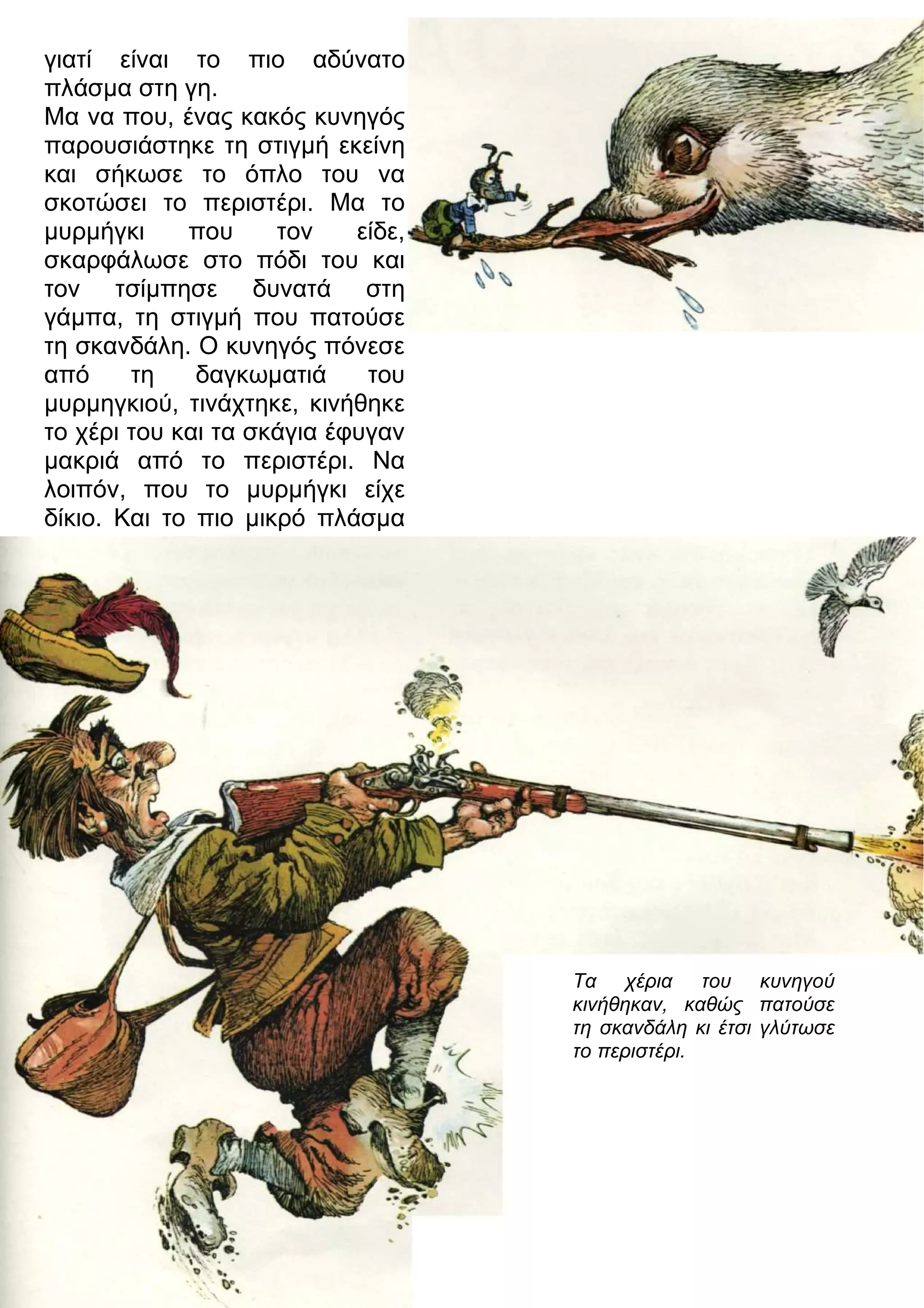 γιατί είναι το πιο αδύνατο 
πλάσμα στη γη. 
Μα να που, ένας κακός κυνηγός 
παρουσιάστηκε τη στιγμή εκείνη 
και σήκωσε το όπλο του να 
σκοτώσει το περιστέρι. Μα το 
μυρμήγκι που τον είδε, 
σκαρφάλωσε στο πόδι του και 
τον τσίμπησε δυνατά στη 
γάμπα, τη στιγμή που πατούσε 
τη σκανδάλη. Ο κυνηγός πόνεσε 
από τη δαγκωματιά του 
μυρμηγκιού, τινάχτηκε, κινήθηκε 
το χέρι του και τα σκάγια έφυγαν 
μακριά από το περιστέρι. Να 
λοιπόν, που το μυρμήγκι είχε 
δίκιο. Και το πιο μικρό πλάσμα 
Τα χέρια του κυνηγού 
κινήθηκαν, καθώς πατούσε 
τη σκανδάλη κι έτσι γλύτωσε 
το περιστέρι. 
 